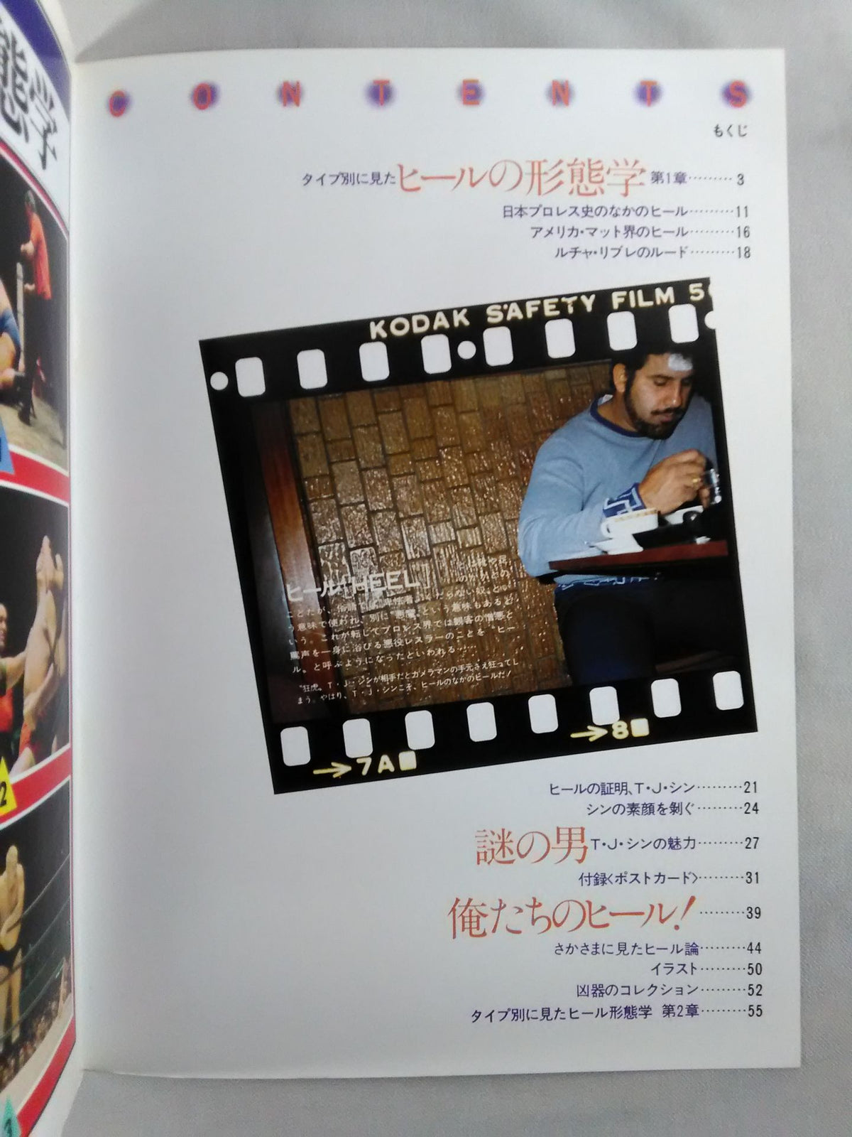 プロレスアルバム16 ザ・ヒール