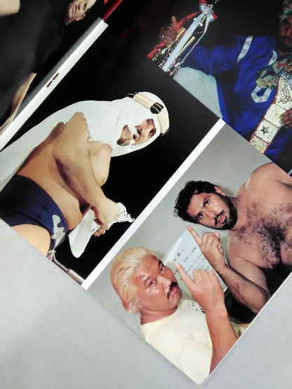 プロレスアルバム16 ザ・ヒール