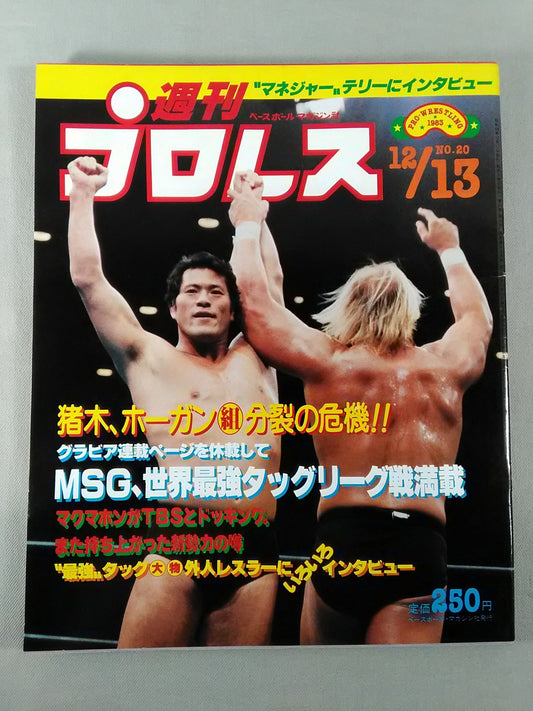 Weekly Pro Wrestling 20