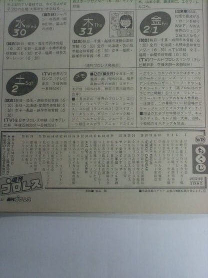Weekly Pro Wrestling 78