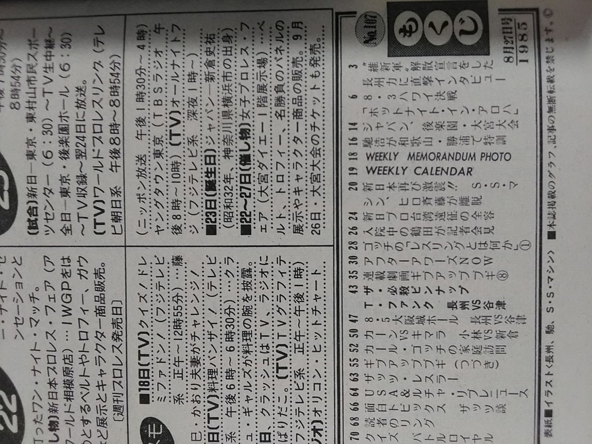 Weekly Pro Wrestling 107