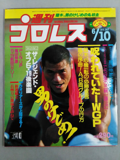 Weekly Pro Wrestling  147