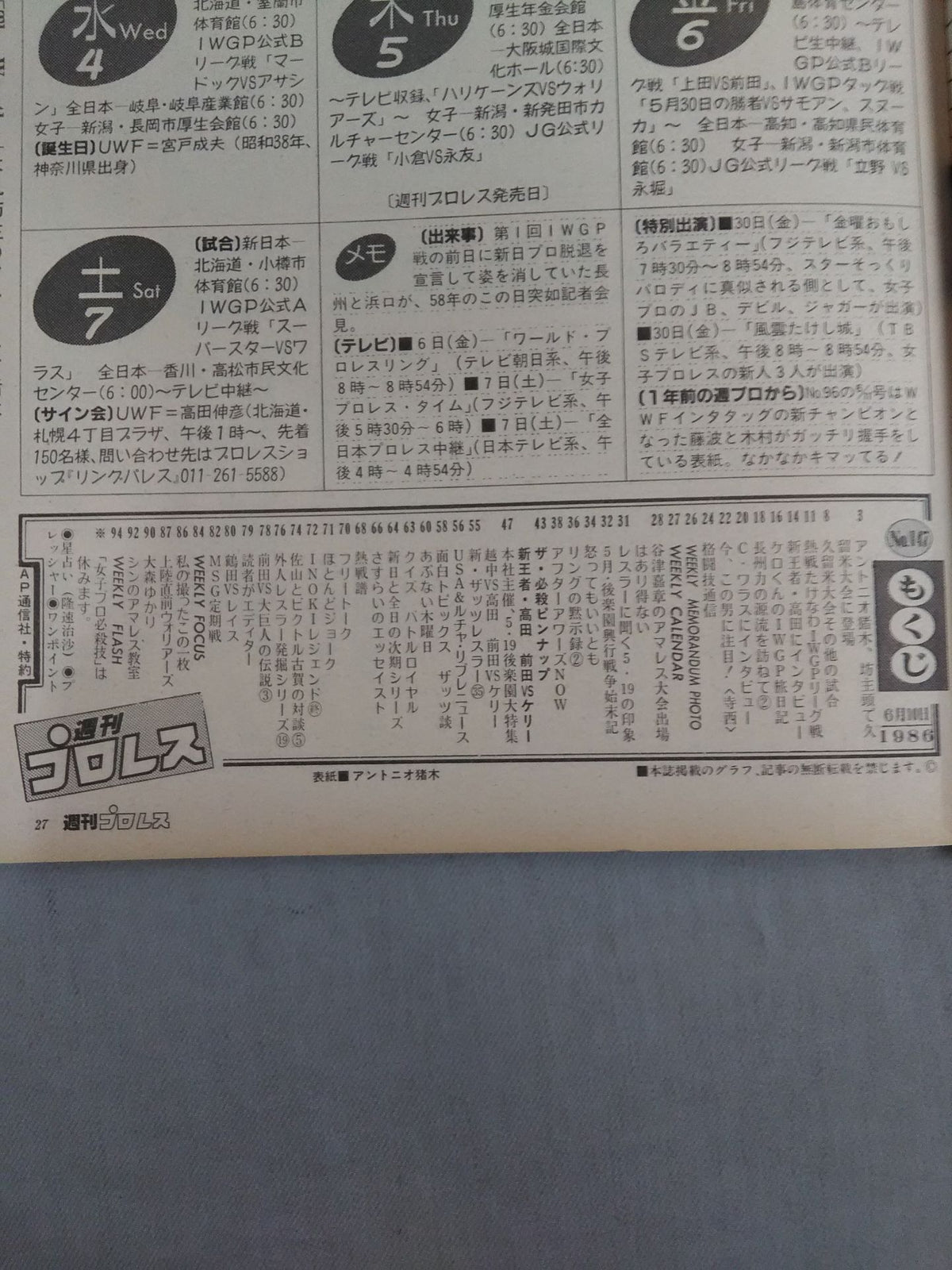 Weekly Pro Wrestling  147