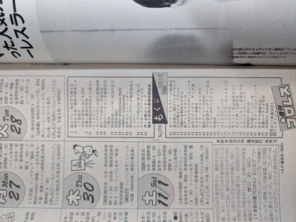 週刊プロレス170