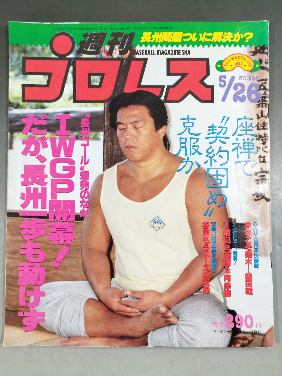 Weekly Pro Wrestling 204