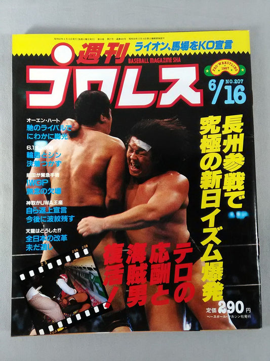 週刊プロレス207