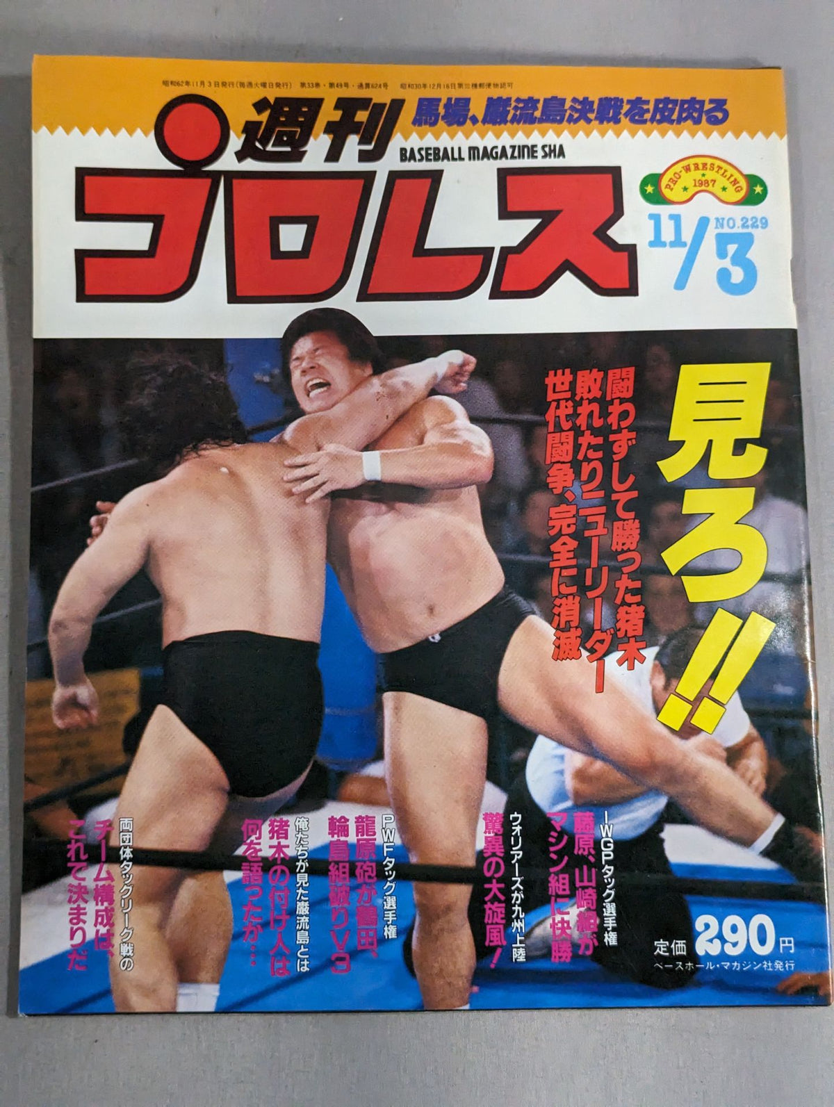 週刊プロレス229