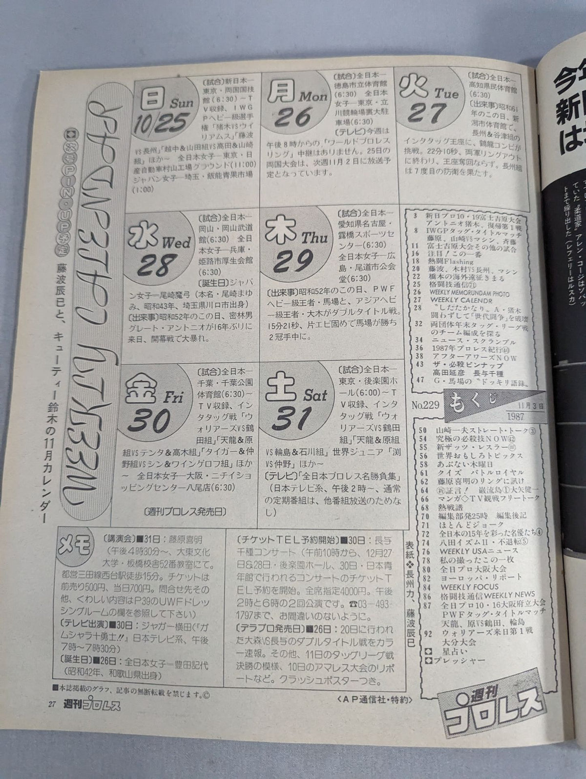 週刊プロレス229