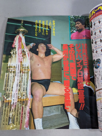 Weekly Pro Wrestling 230