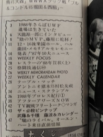 Weekly Pro Wrestling 238