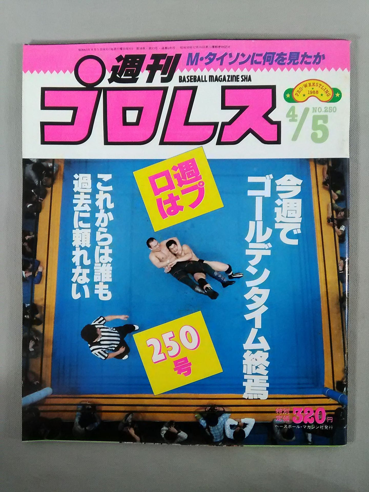 Weekly Pro Wrestling  250