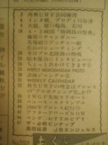 週刊プロレス252