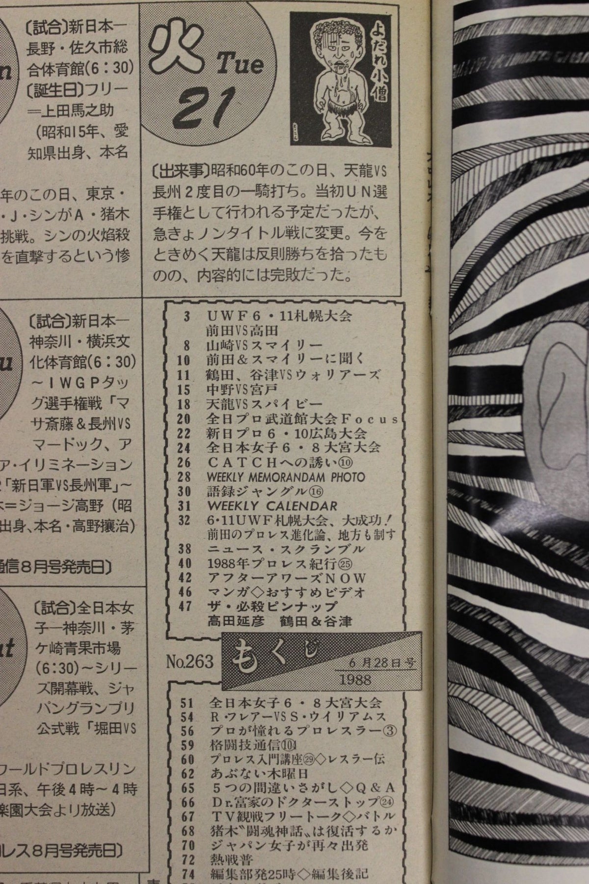 Weekly Pro Wrestling 263