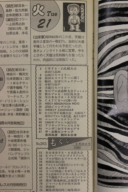 Weekly Pro Wrestling 263