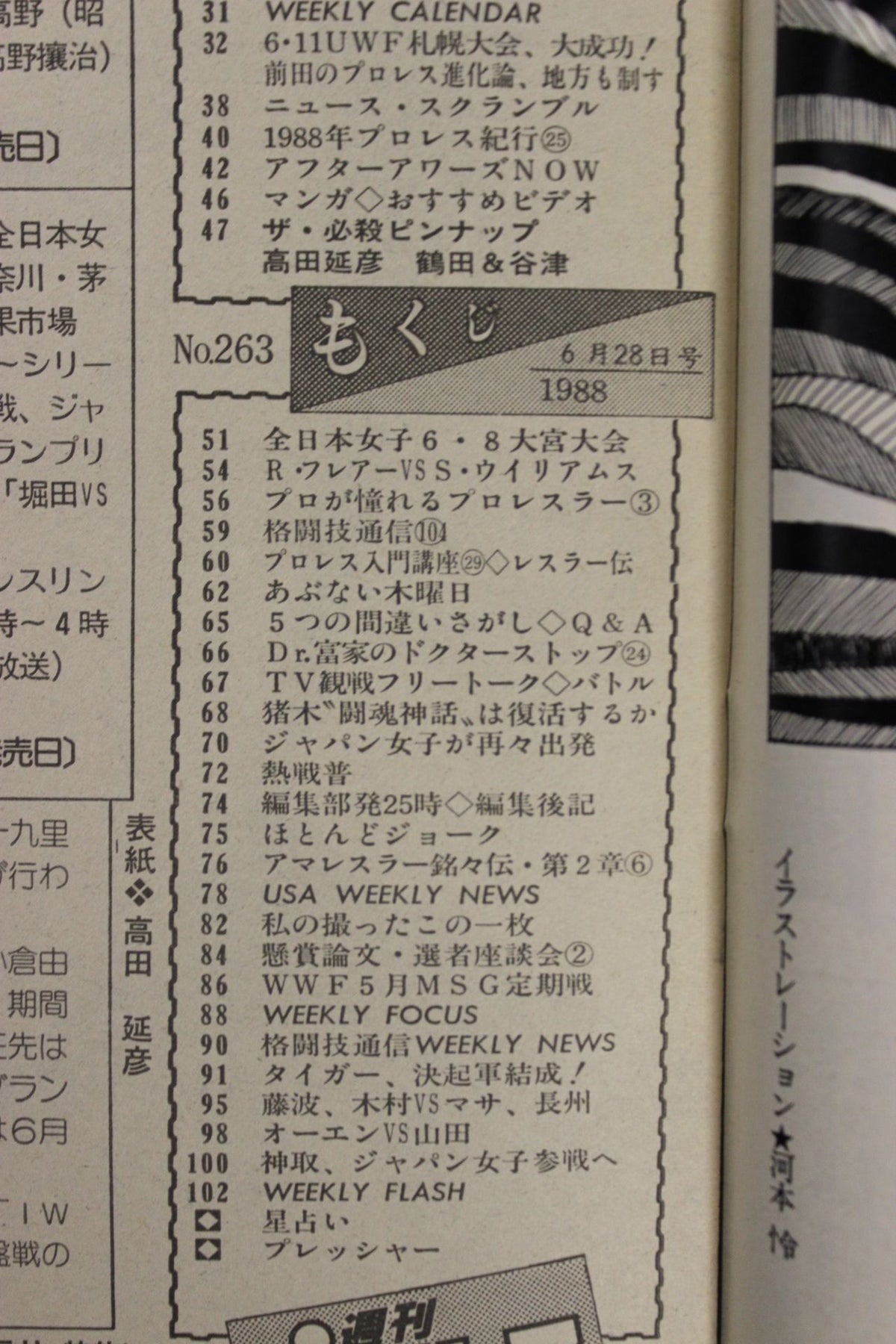 Weekly Pro Wrestling 263