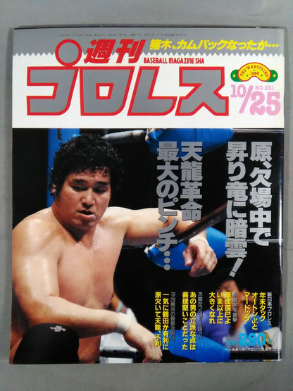 Weekly Pro Wrestling 281