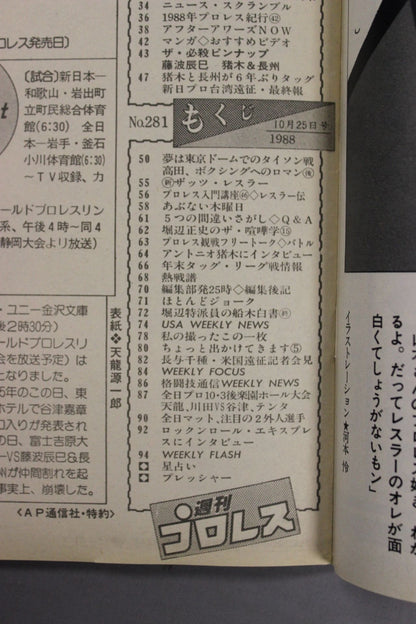 Weekly Pro Wrestling 281