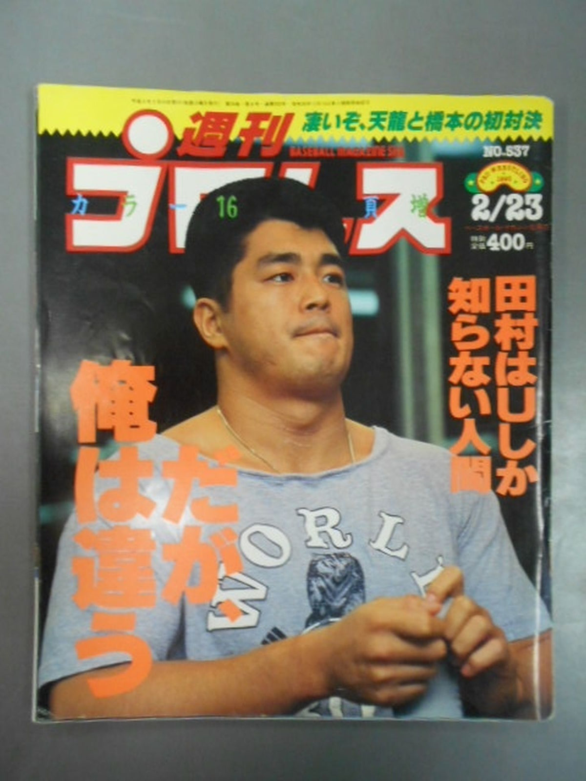Weekly Pro Wrestling  537
