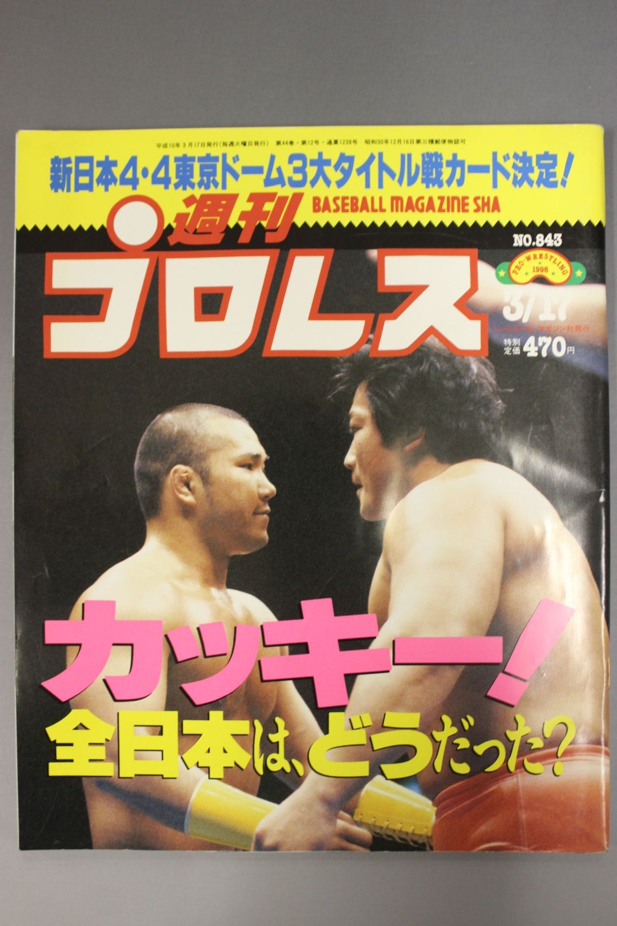 Weekly Pro Wrestling 843