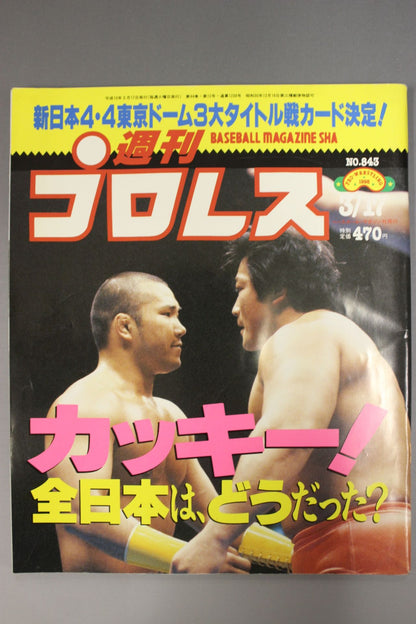 Weekly Pro Wrestling 843
