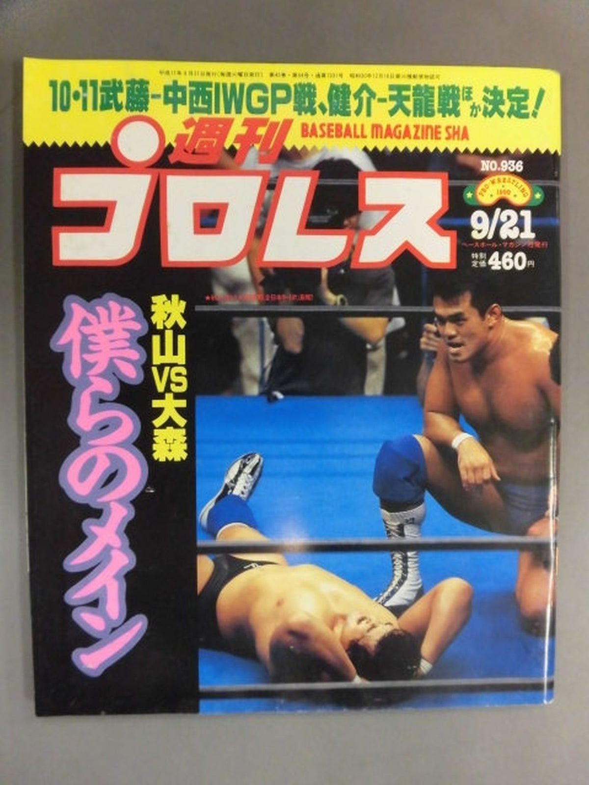 Weekly Pro Wrestling 936