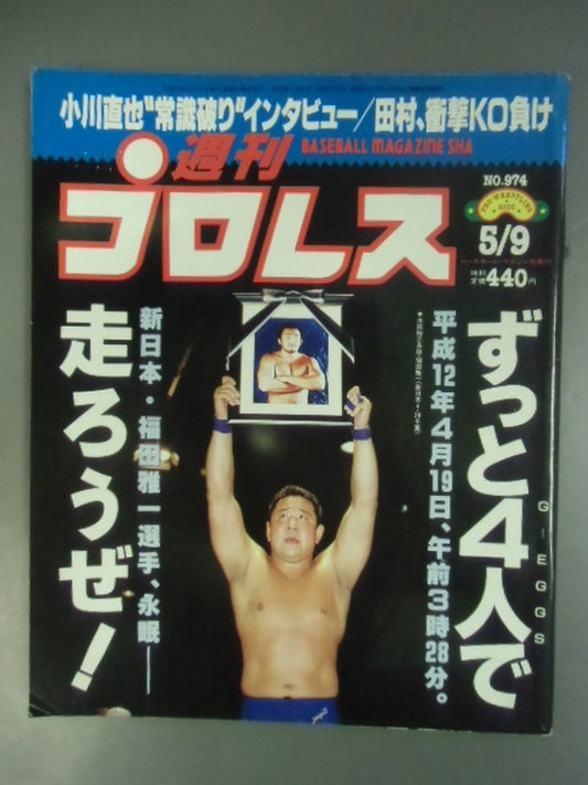 Weekly Pro Wrestling 974