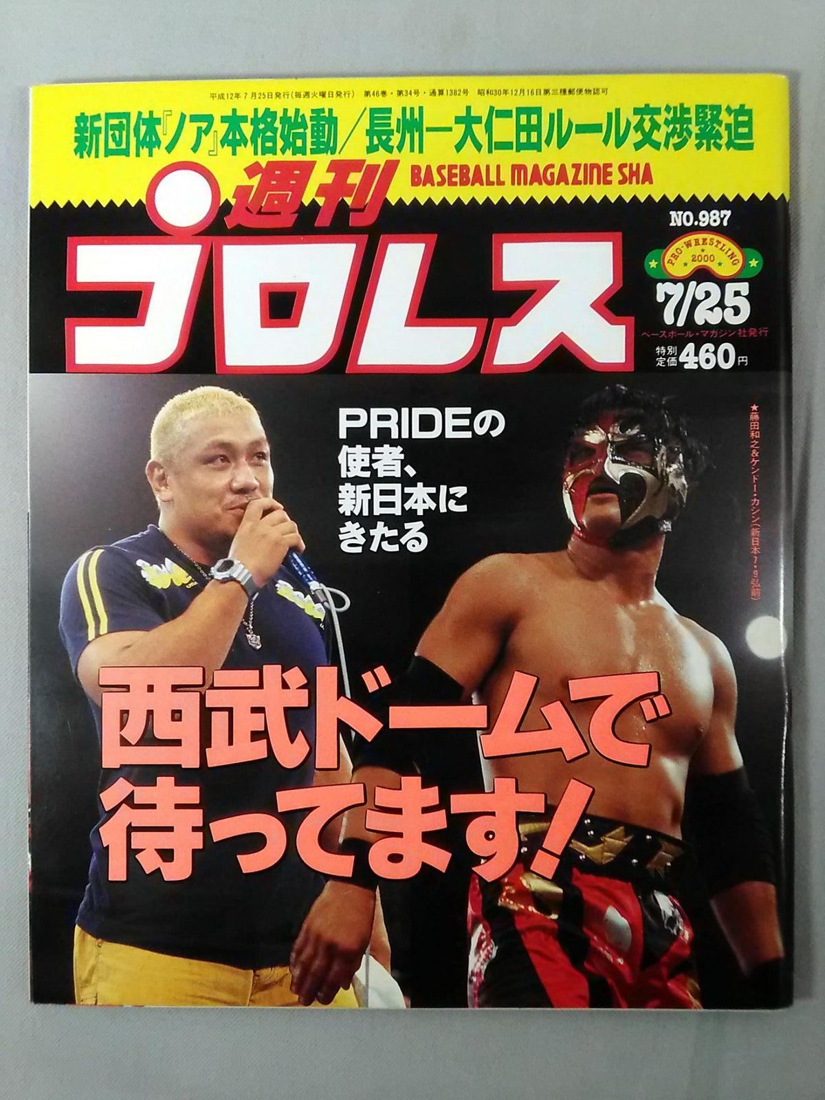Weekly Pro Wrestling 987