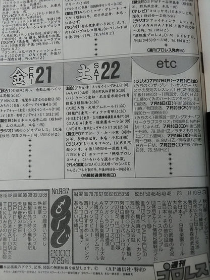 Weekly Pro Wrestling 987