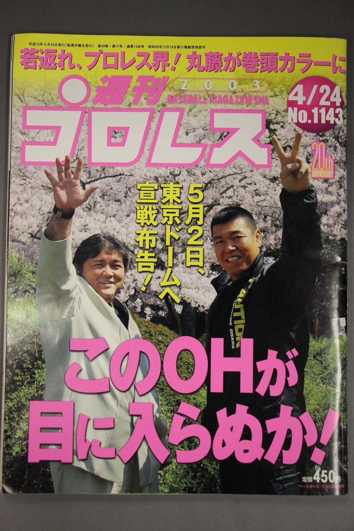 Weekly Pro Wrestling  1143