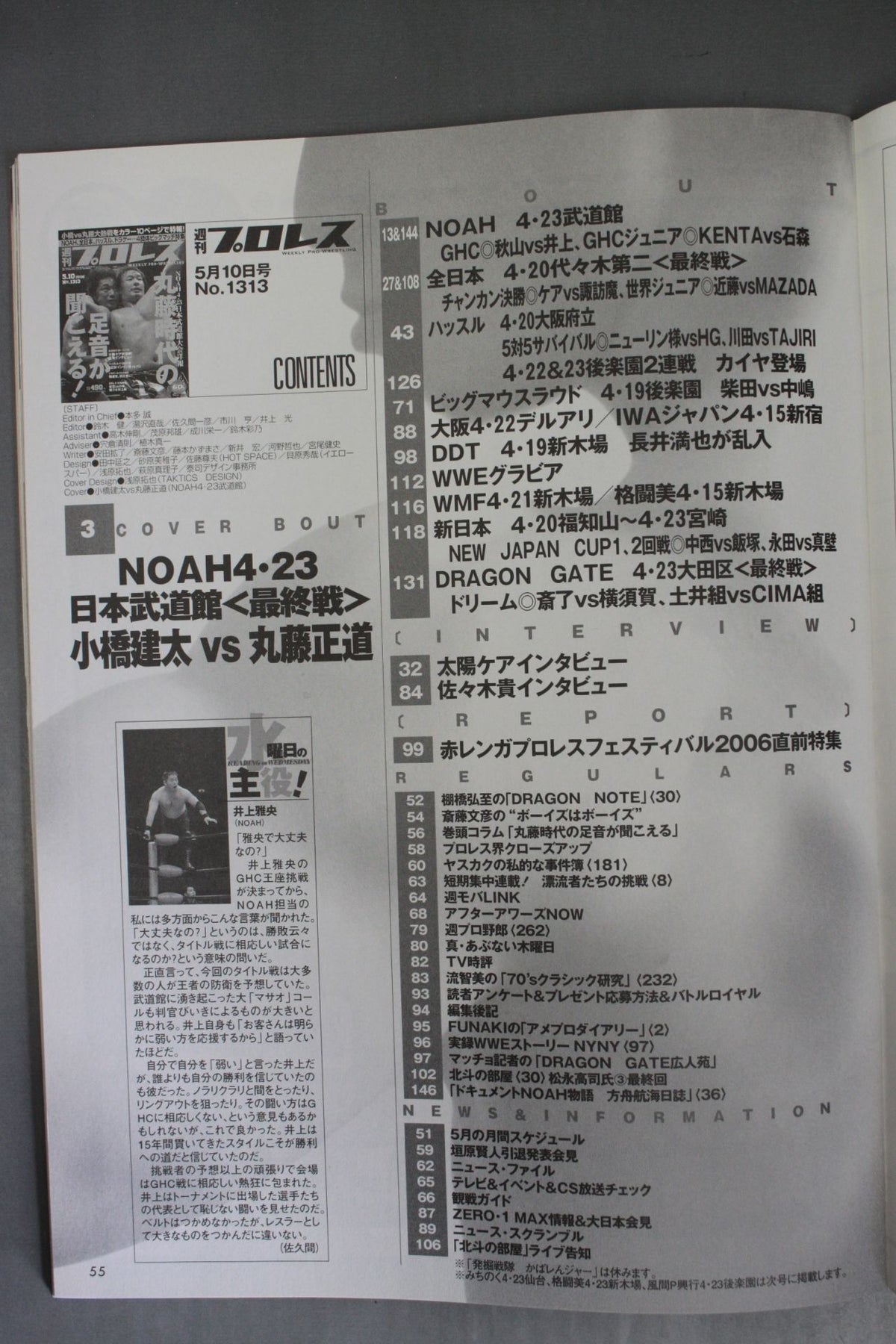 Weekly Pro Wrestling 1313