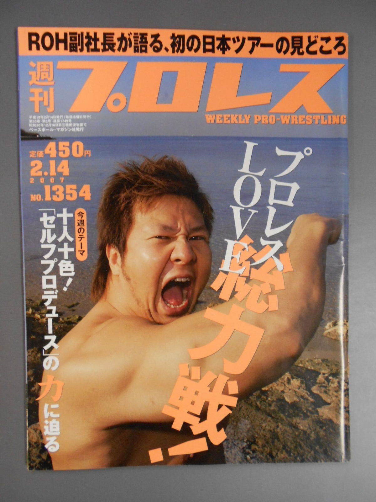 Weekly Pro Wrestling 1354