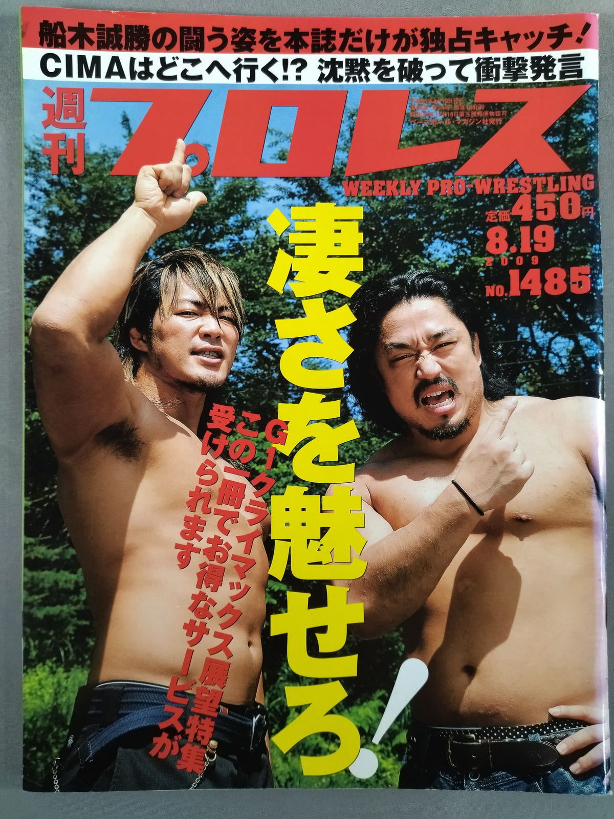 Weekly Pro Wrestling 1485