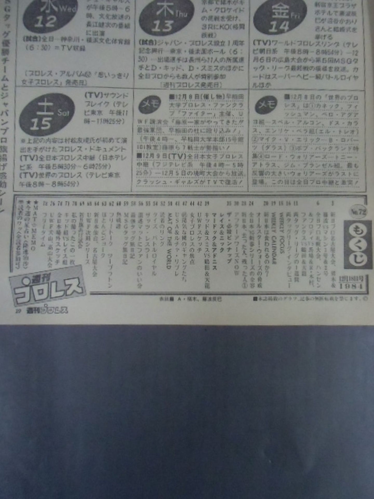 Weekly Pro Wrestling 72