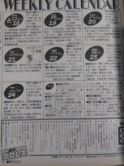 週刊プロレス107