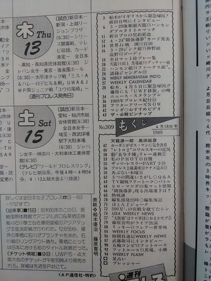 週刊プロレス309