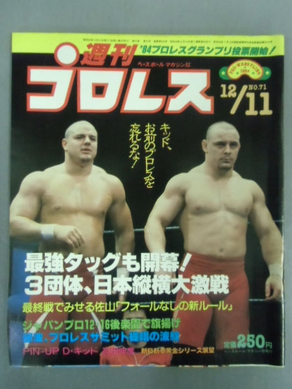 Weekly Pro Wrestling 71