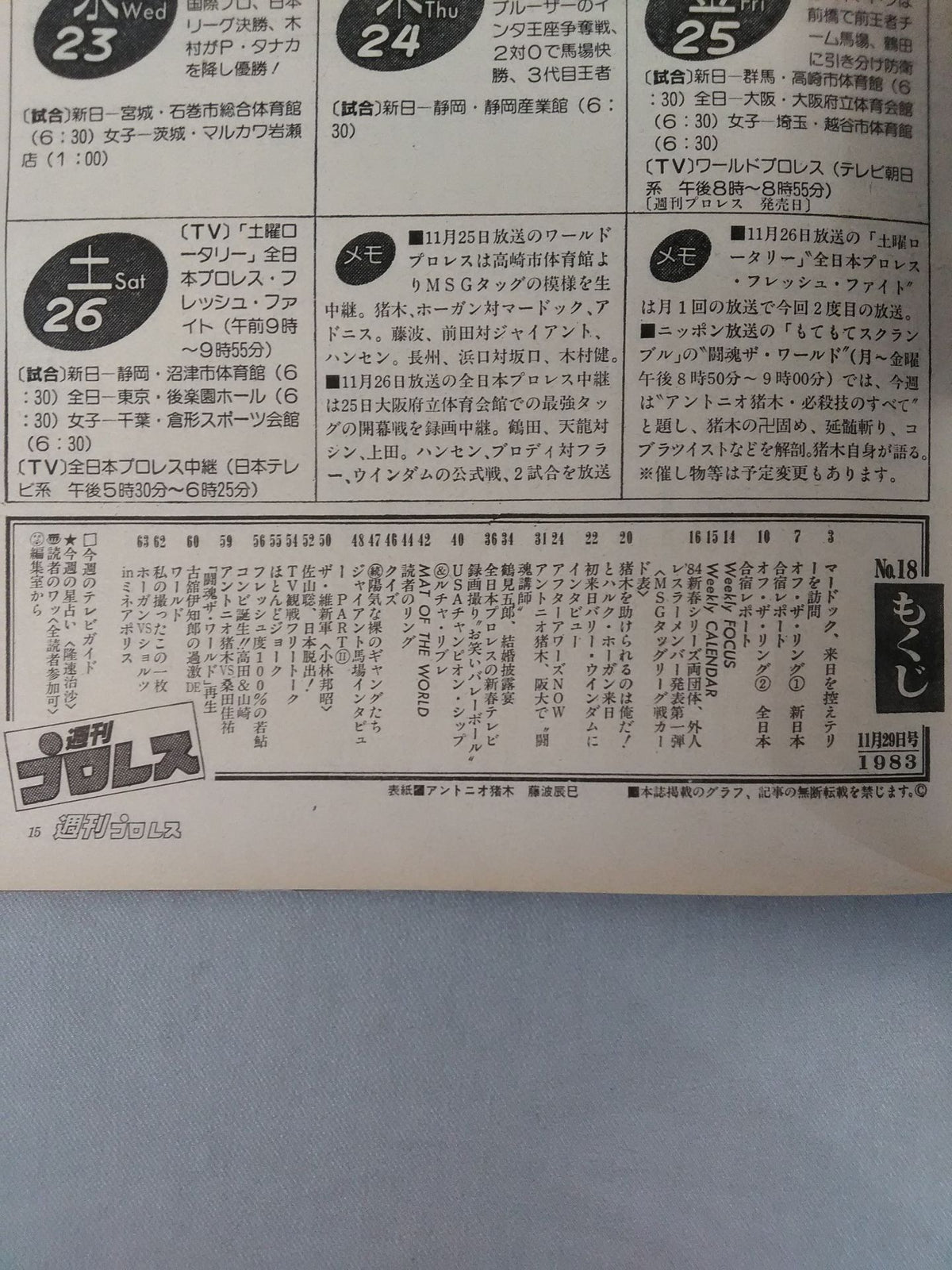 Weekly Pro Wrestling 18