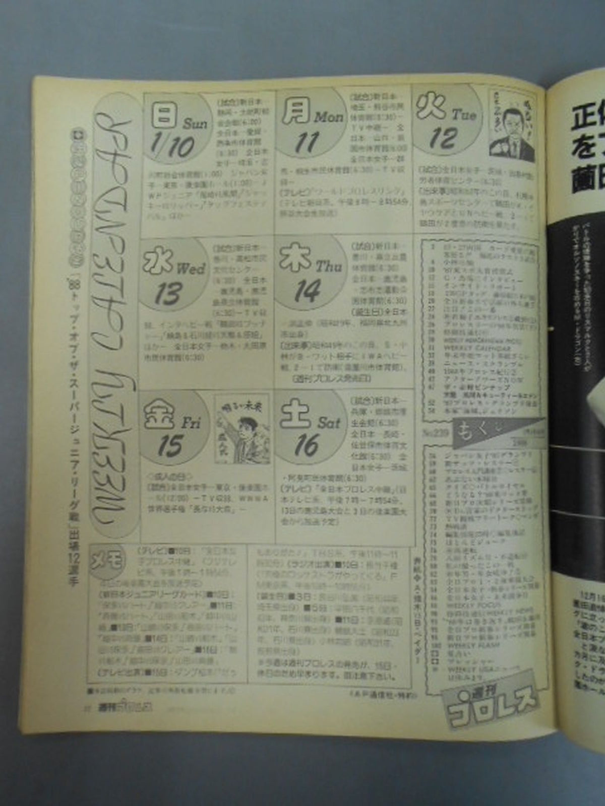 週刊プロレス239