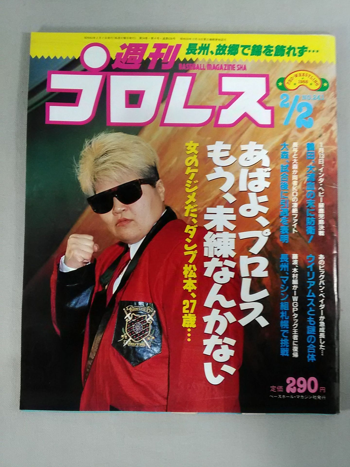 週刊プロレス241