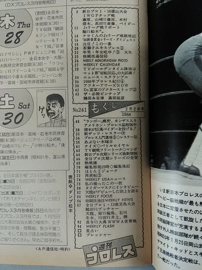 週刊プロレス241