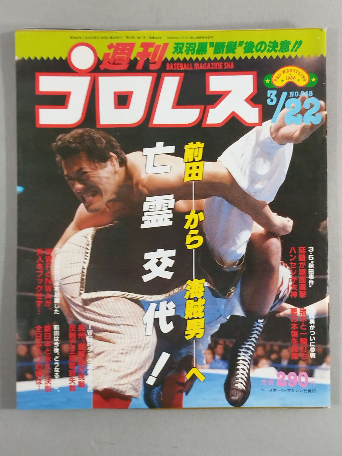 Weekly Pro Wrestling  248