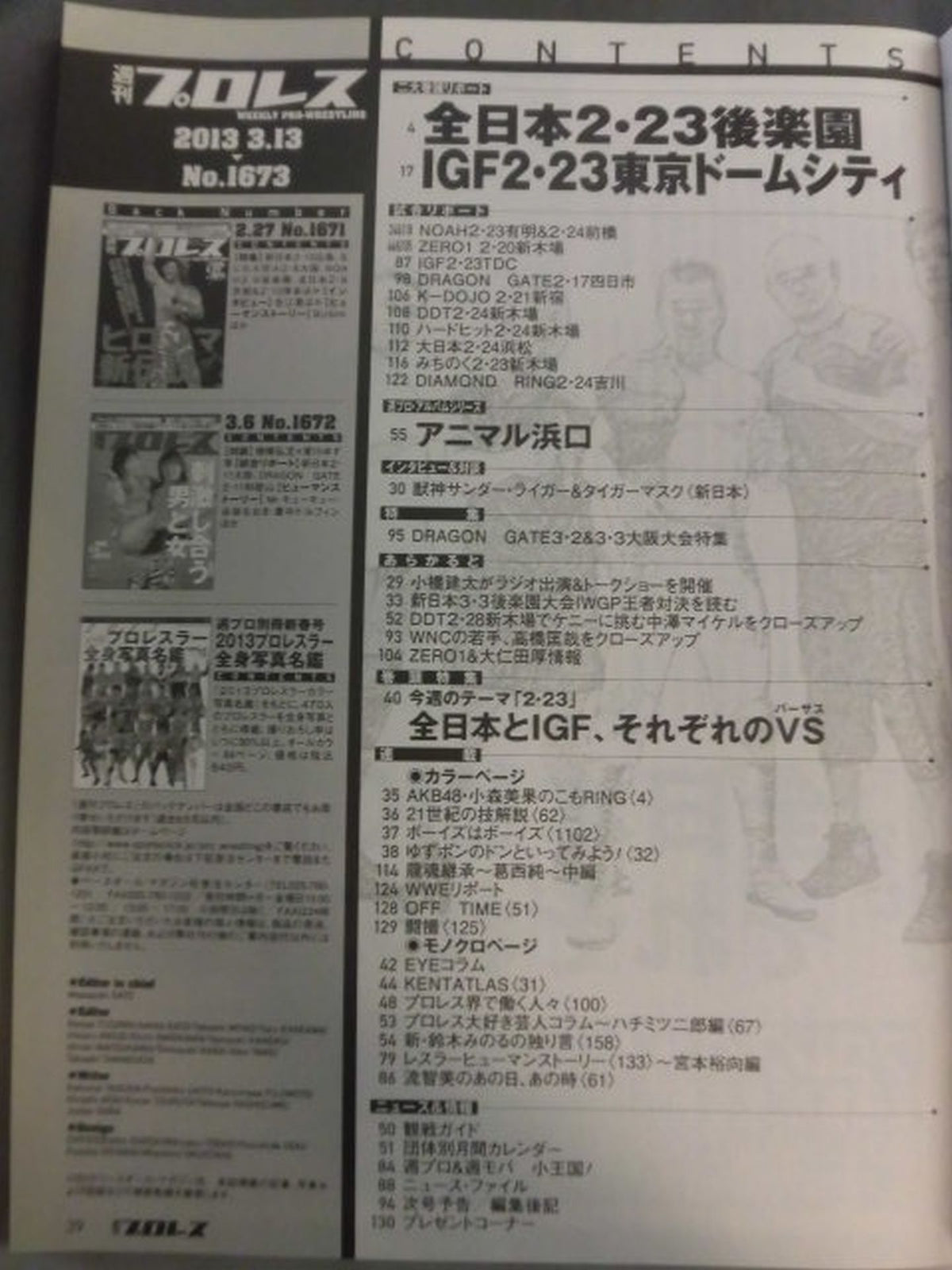 Weekly Pro Wrestling 1673