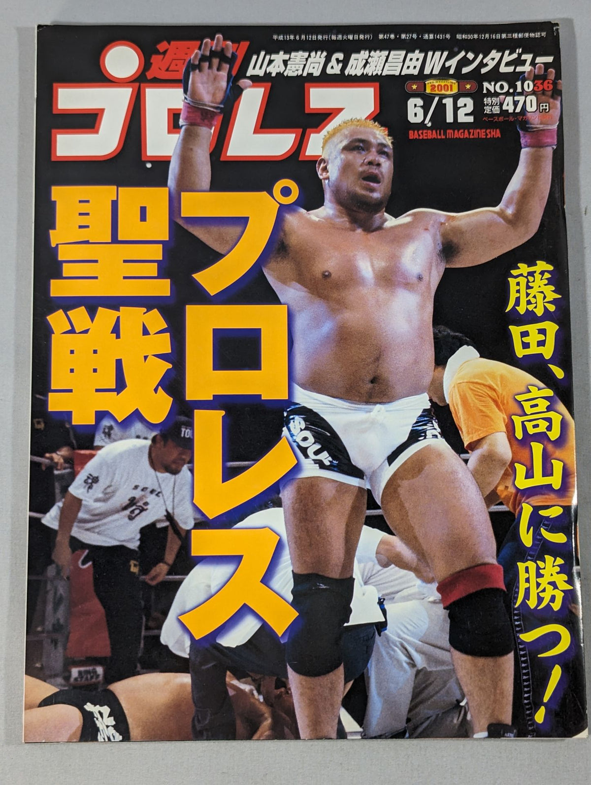 Weekly Pro Wrestling 1036
