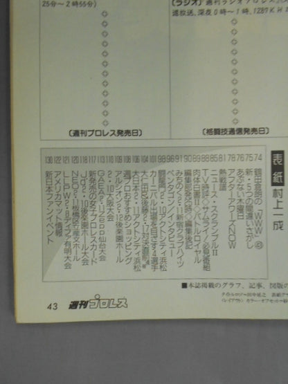 週刊プロレス1019