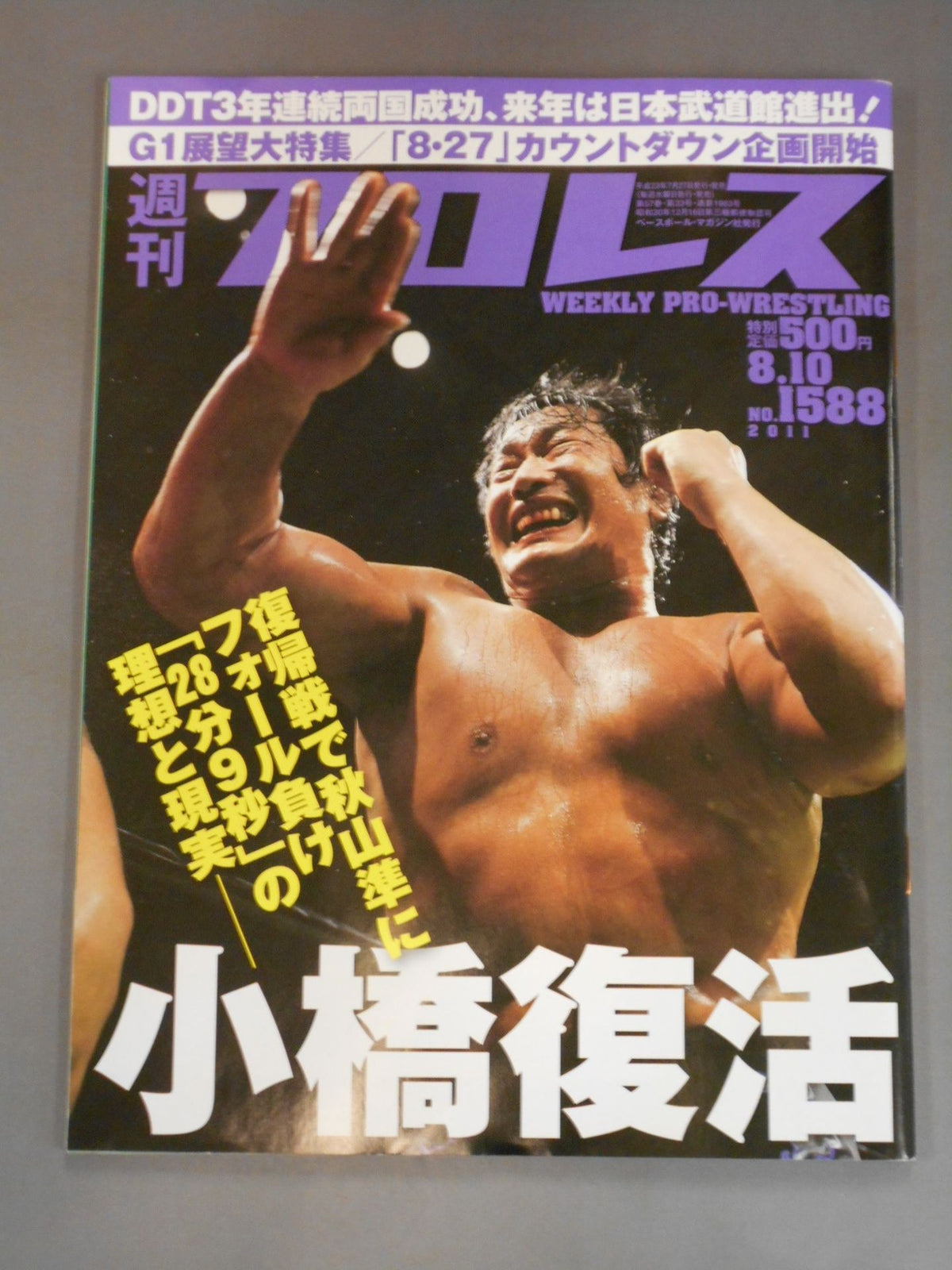 Weekly Pro Wrestling 1588