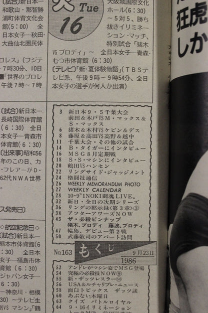 Weekly Pro Wrestling  163