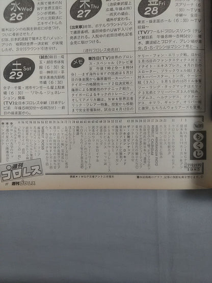 Weekly Pro Wrestling 99