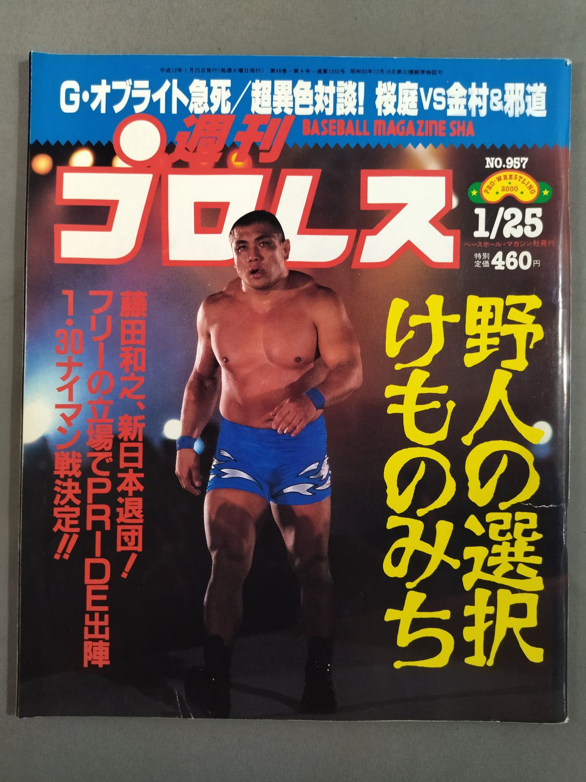 Weekly Pro Wrestling 957