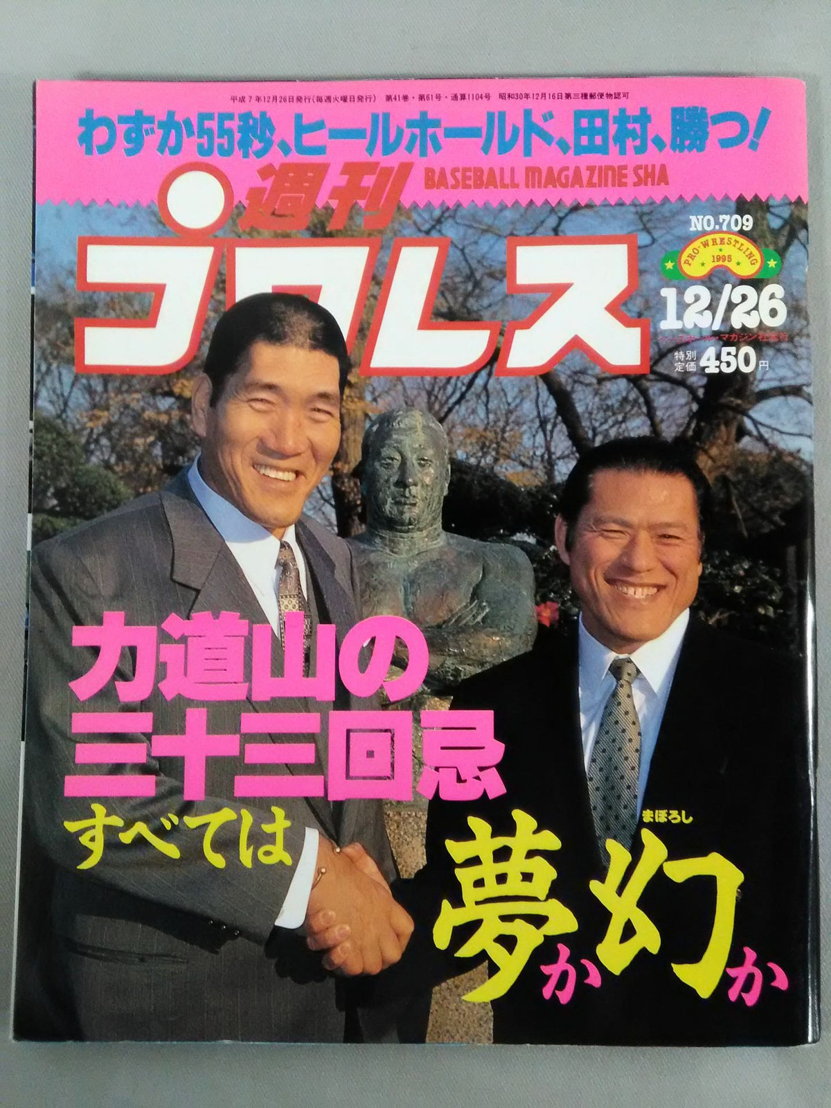 Weekly Pro Wrestling 709