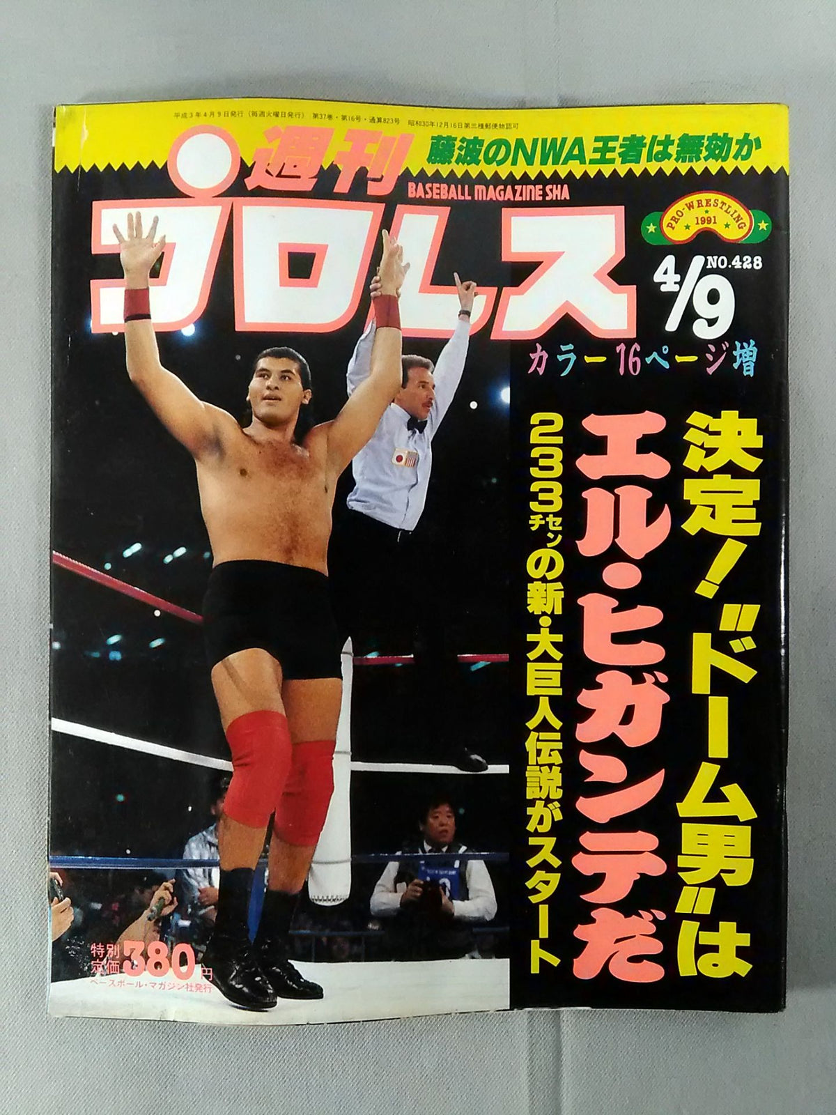 週刊プロレス428